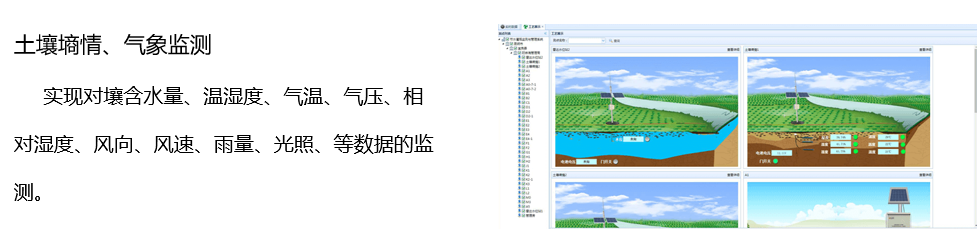 灌区4.jpg