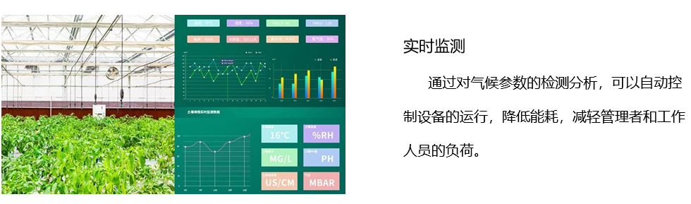 智能温室1.jpg